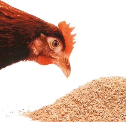 Vie Rurale Authentique